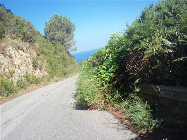 Rovi graffianti lungo strada Castanea–Rodia, “è l’ora scerbatura”