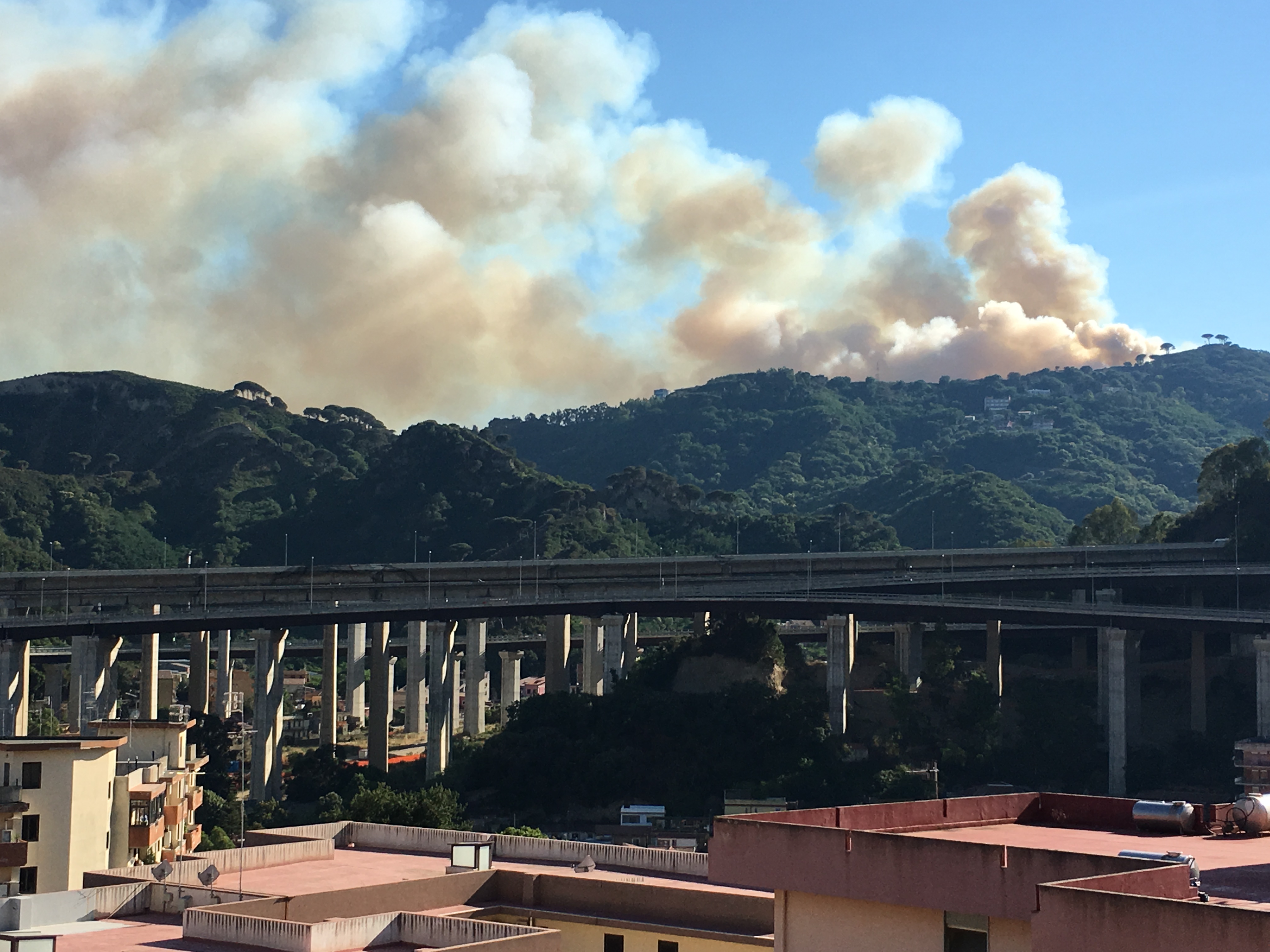 Spaventoso incendio ha minacciato il Neurolesi. Video