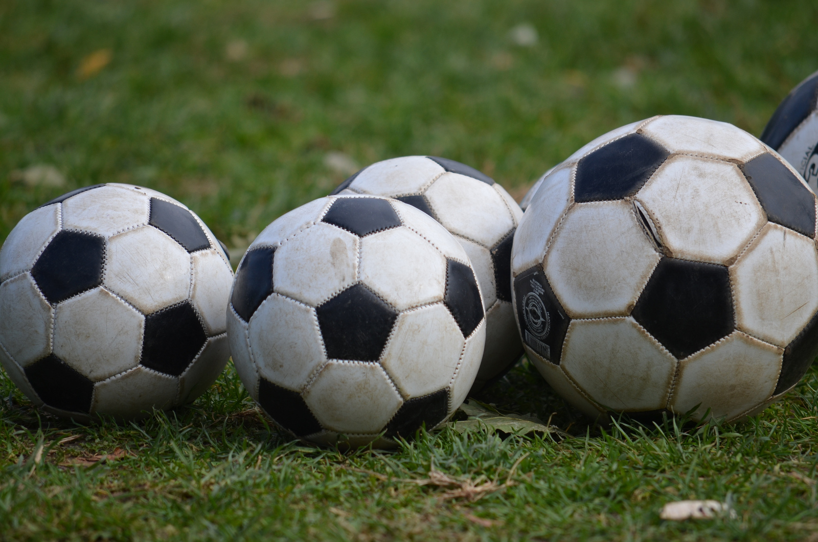 Serie D, gli arbitri. A Portici a "porte" chiuse