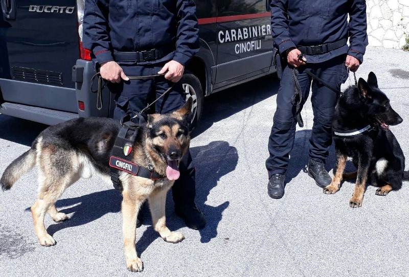 Controlli antidroga: arresti e sequestri dei carabinieri