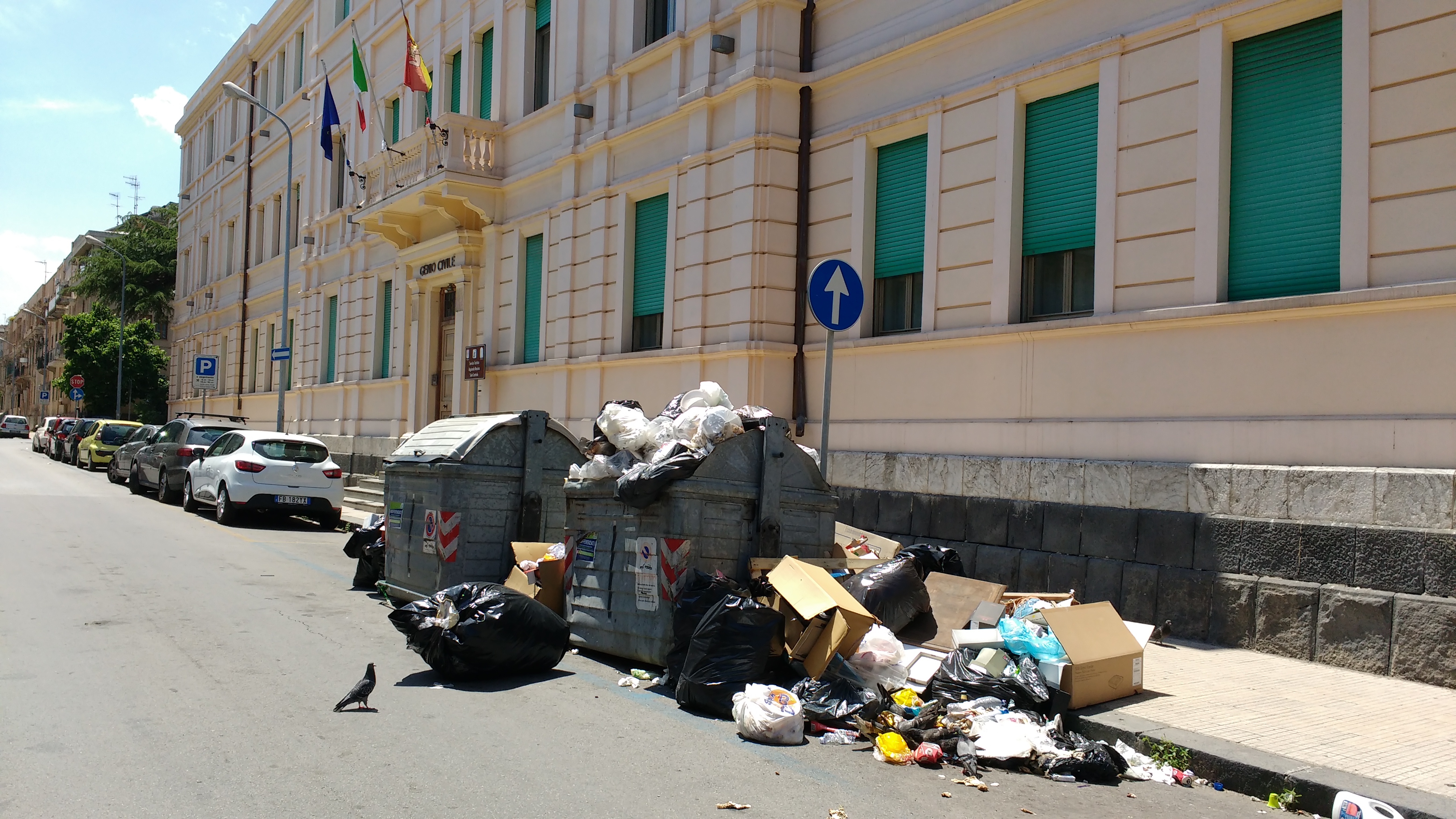 Invasione blatte, Articolo Uno–Mdp: Ufficio Sanità senza soldi e dirigente