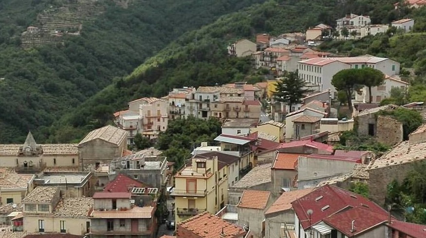 Noccioleti a rischio, gli agricoltori chiedono aiuto: "Gravi danni causati dai ghiri"