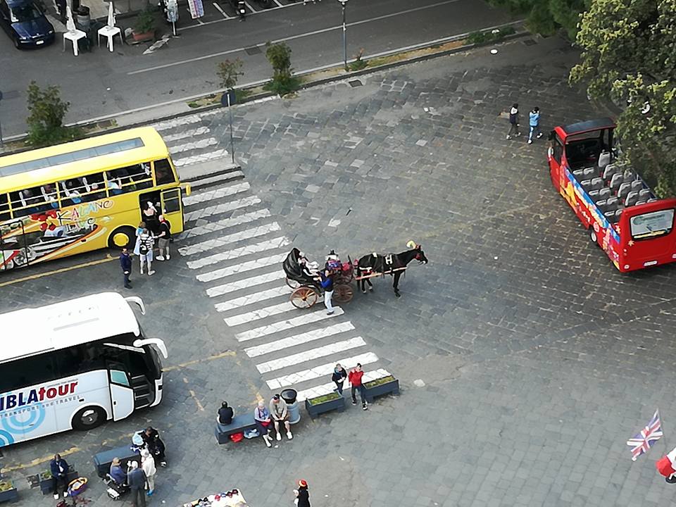 Morte cavallo Oliver, presentato esposto dalla "Tutela Animali"