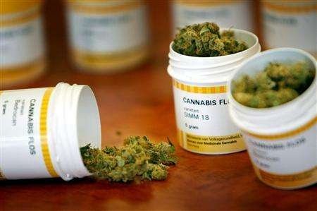 Uso terapeutico della cannabis, Regione istituisce tavolo tecnico