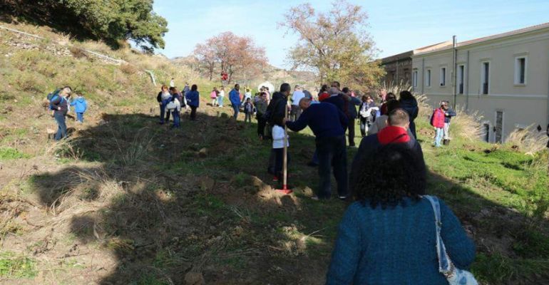 "Festa dell'albero" a San Placido Calonerò, studenti con il pollice verde