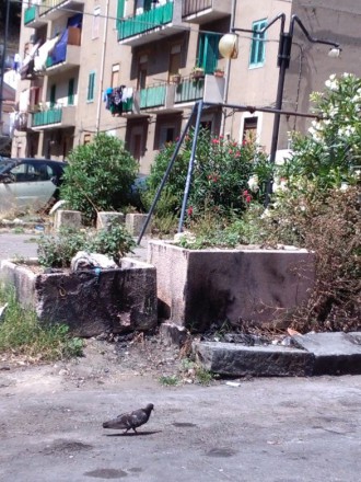 Gioveni e Cacciotto: 'Si realizzi almeno un parcheggio nella piazzetta di Camaro San Paolo'