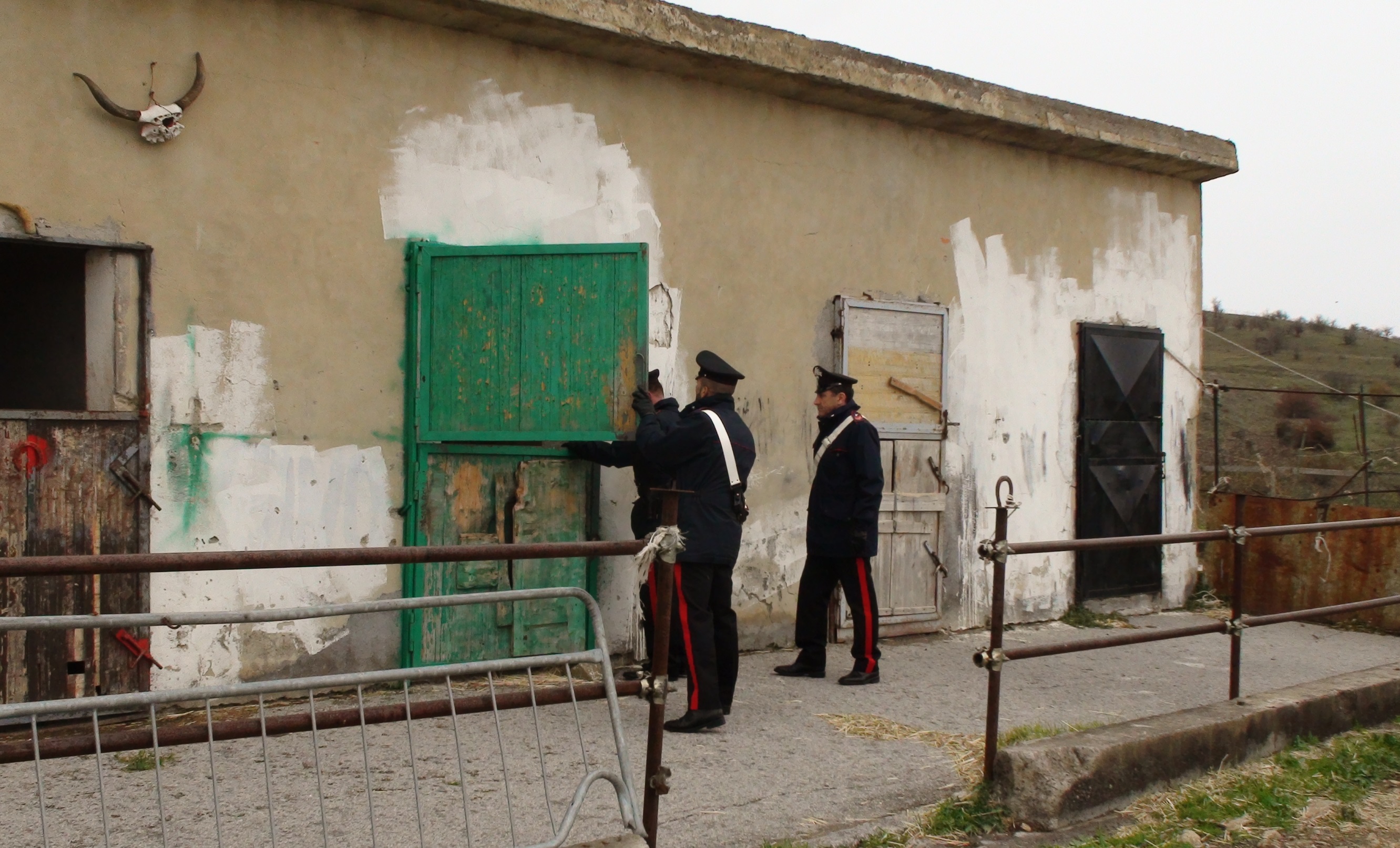 Cesarò, allevatore arrestato dai carabinieri per armi e ricettazione