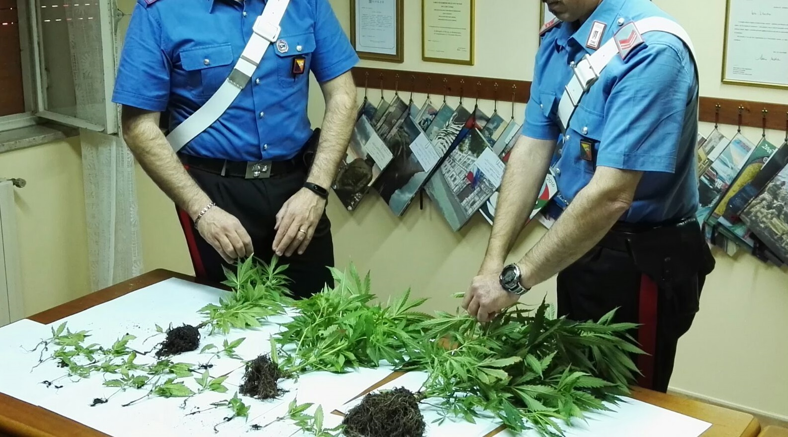 Coltivava piantine di marijuana, 25enne arrestato a Santa Lucia del Mela