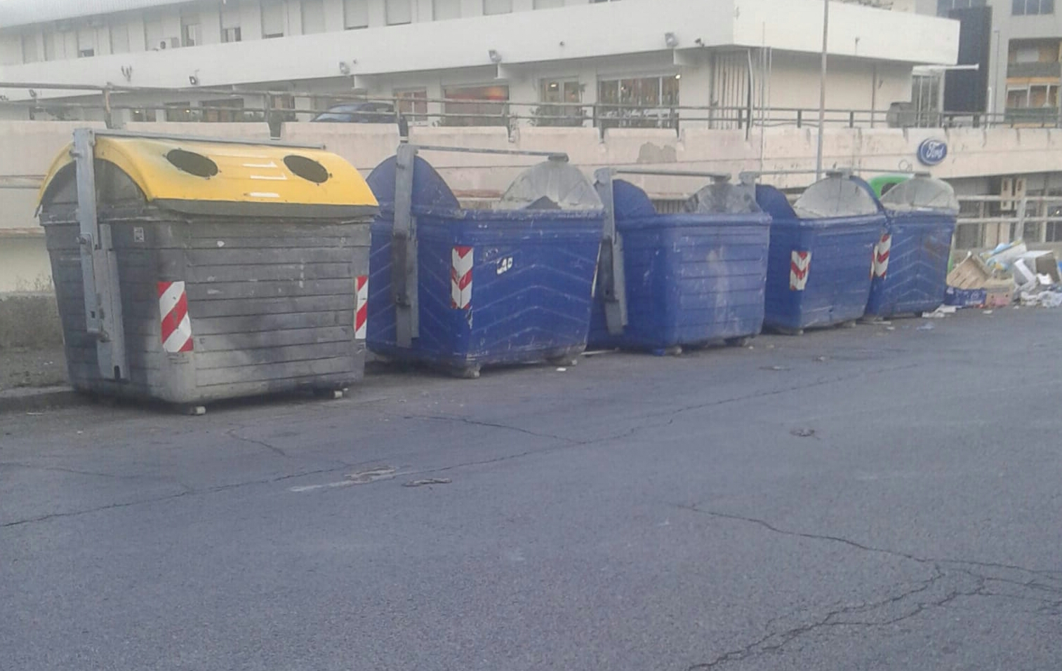 Invasione di topi al Villaggio Cep ed a Santa Lucia sopra Contesse