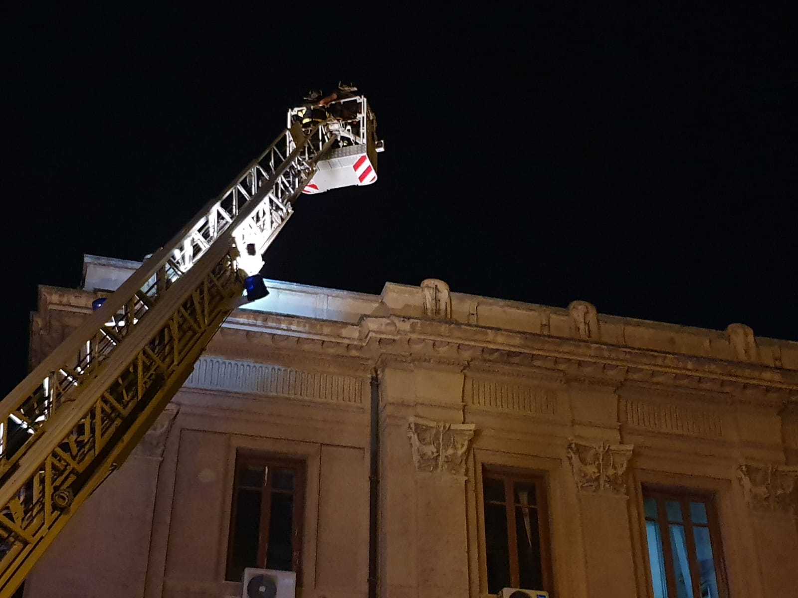 Gatto sul cornicione di Palazzo Zanca: vigili del fuoco all'azione