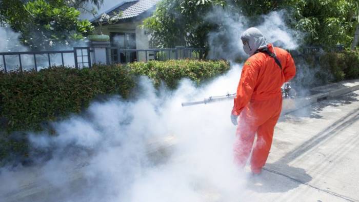 Messinaservizi, dal 31 al via alla disinfestazione della zona Sud