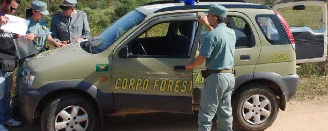 Concorso forestali: in 20mila per 46 posti