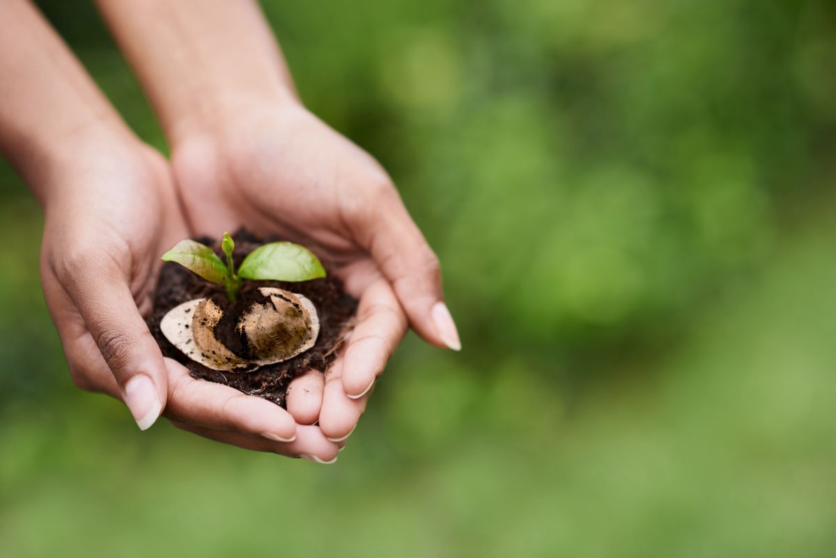 Il caffè espresso napoletano amico dell’ambiente