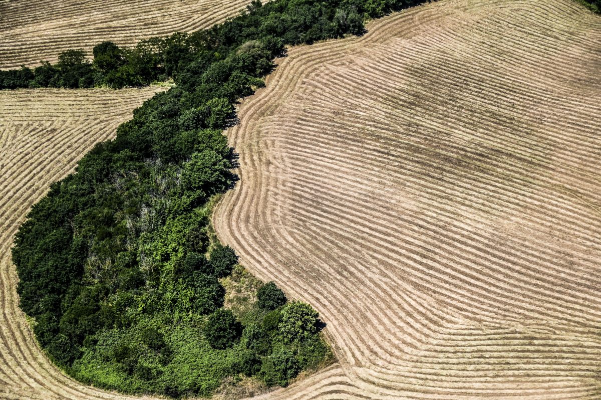 63% mamme italiane pensa che prendersi cura dell’ambiente sia costoso