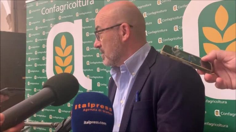 Agricoltura, Cingolani “Previste misure per efficientare sistema”