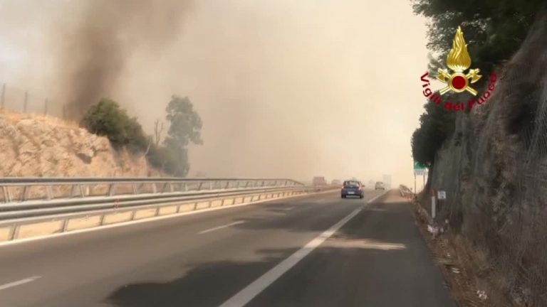 Incendi, brucia vegetazione nel palermitano