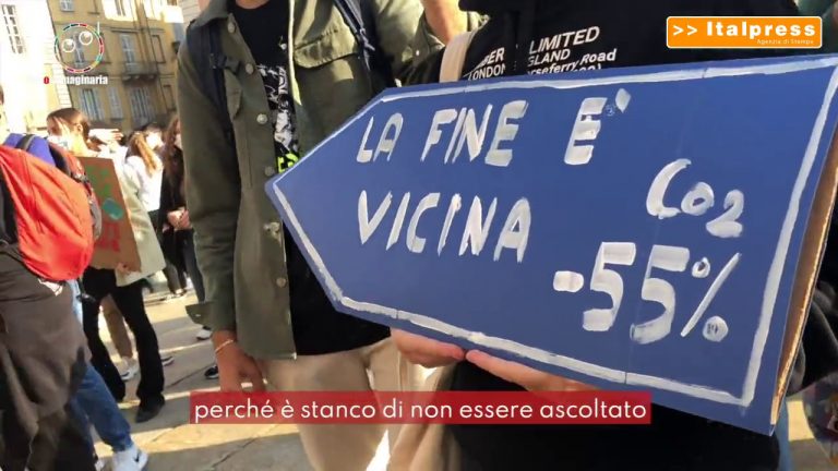 Clima, il covid ha ucciso la voglia di manifestare