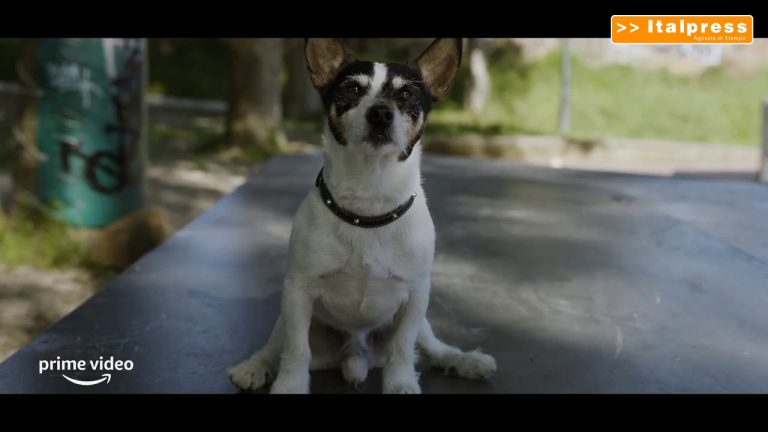 Anni da cane, il trailer