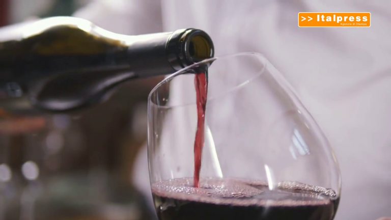 Vino, aumentano i costi di produzione in Europa