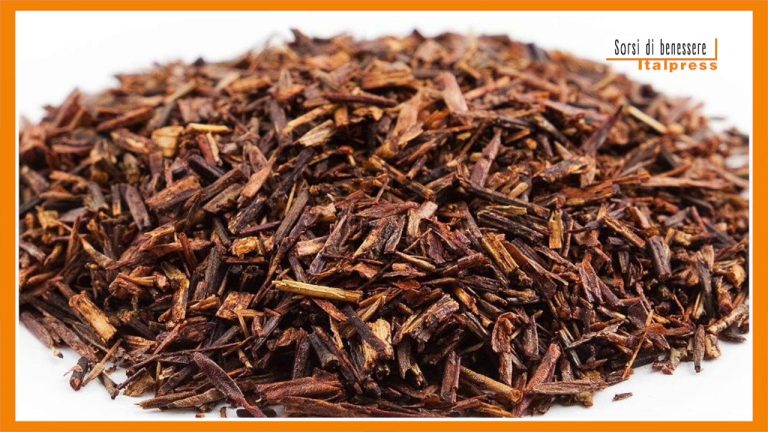 Sorsi di benessere – Come preparare il tè rooibos