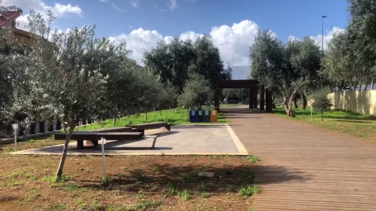 Palermo, dagli ulivi del “Giardino della memoria” nasce l’olio santo