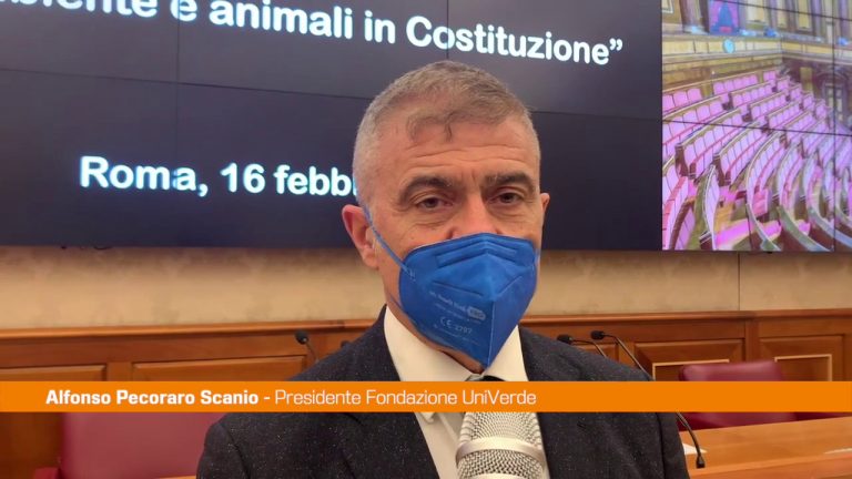 Pecoraro Scanio “Ambiente in Costituzione, le leggi si adeguino”