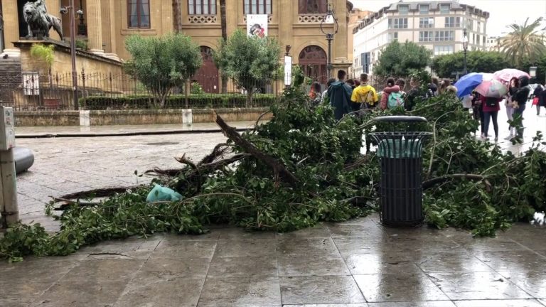 Il vento e i temporali devastano Palermo