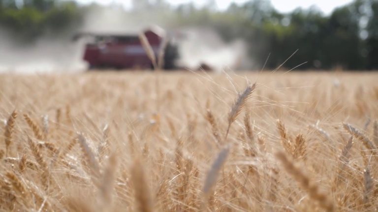 Agroalimentare, nel primo trimestre l’export supera i 6 mld