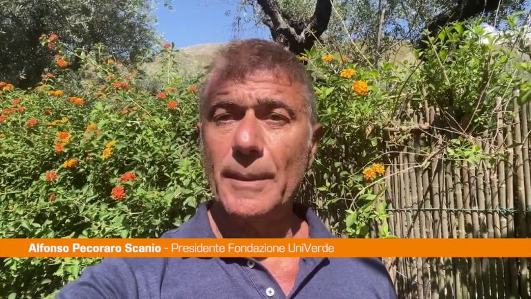 Pecoraro Scanio “Bene pentimento Berlusconi su alberi”