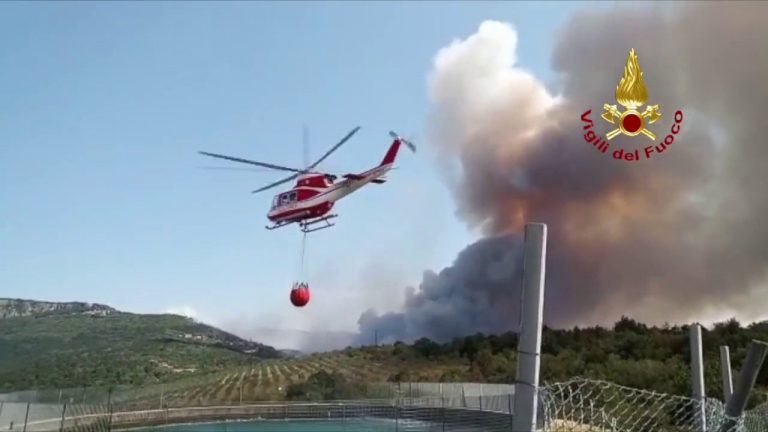 Incendio boschivo nel triestino, Canadair anche dalla Slovenia