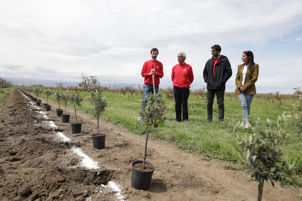 Ambiente, Fire compensa il 100% delle emissioni di CO2 e pianta 100 alberi