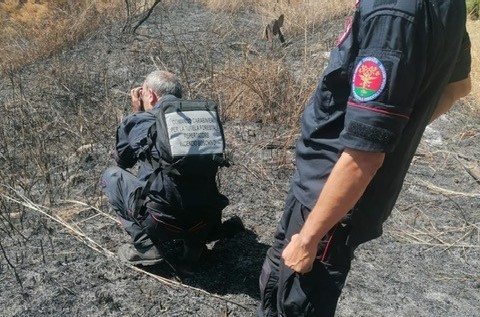 Incendi boschivi, si stringe il cerchio nel Barcellonese