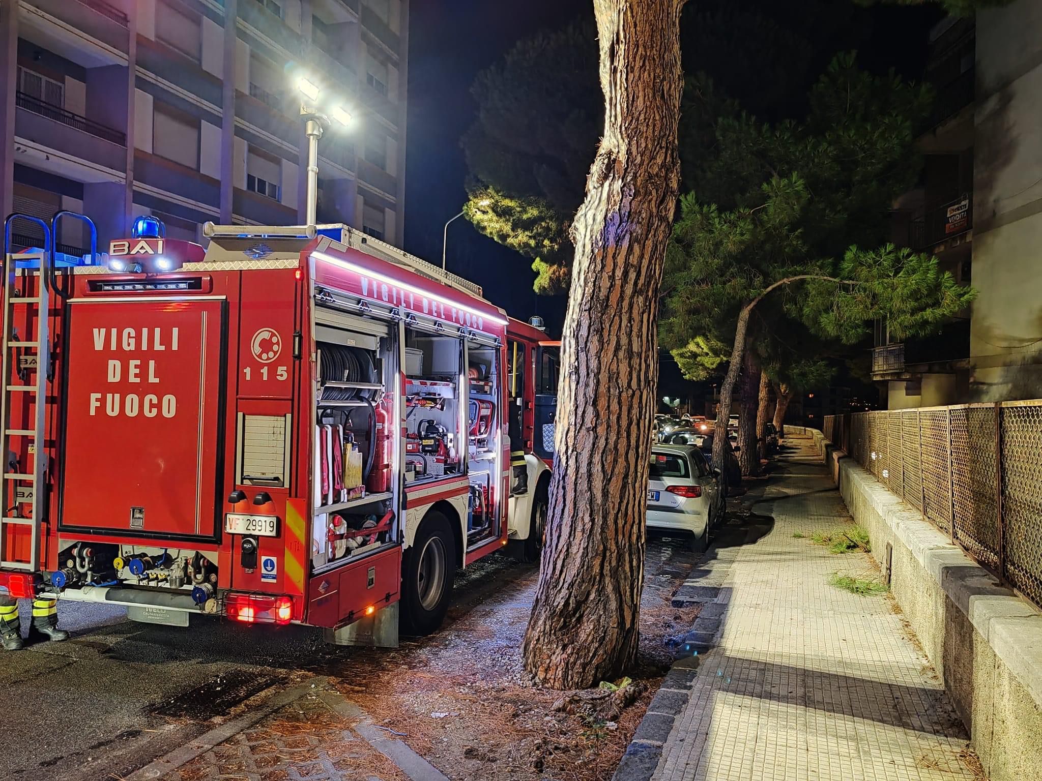 Ramo si spezza e invade il terrazzo di una casa