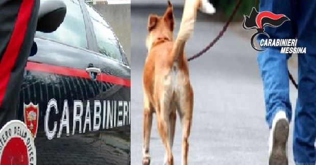 Fa uscire il cane per i bisogni e viene arrestato per evasione