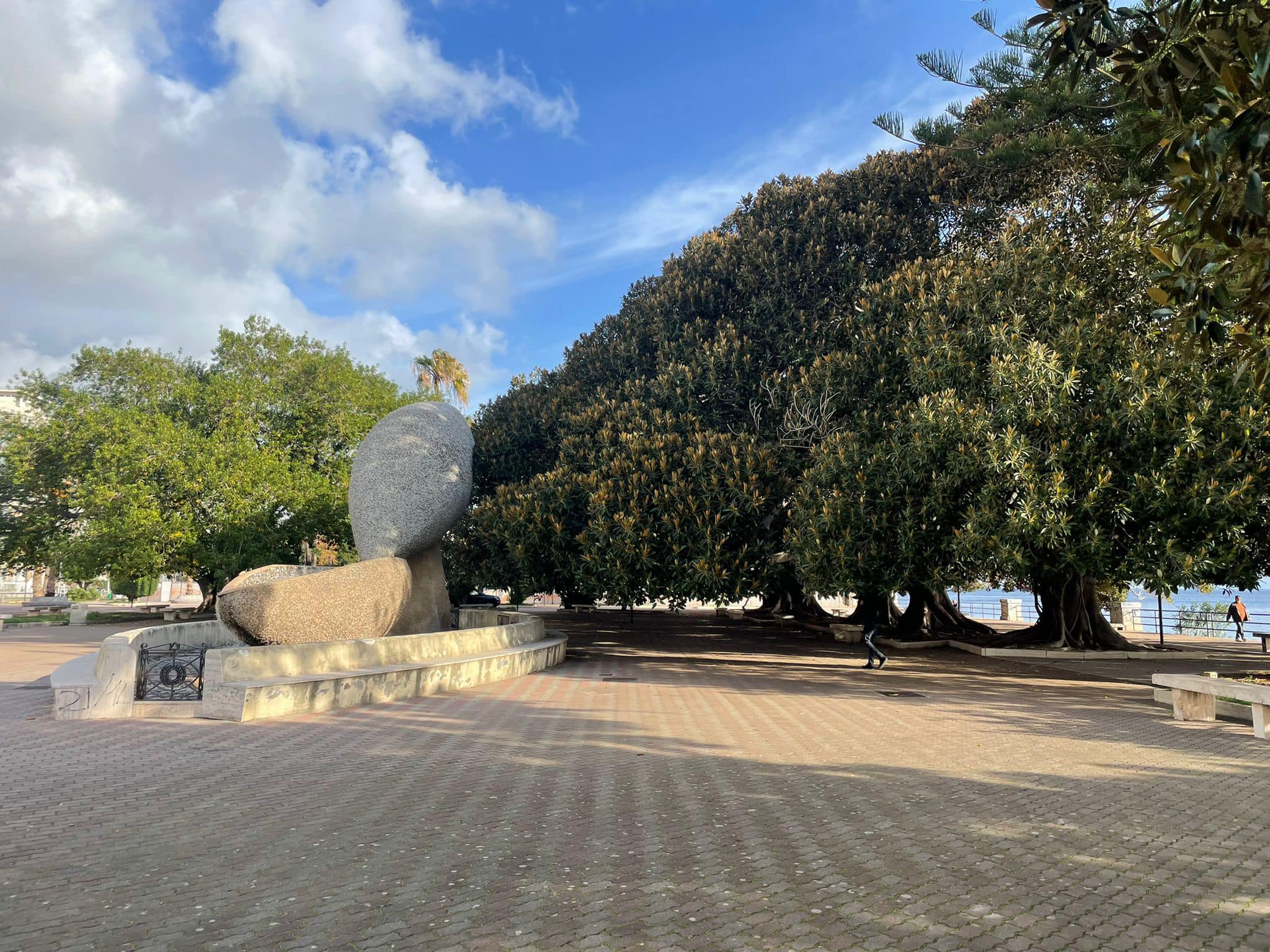 A Messina censiti 15 alberi monumentali