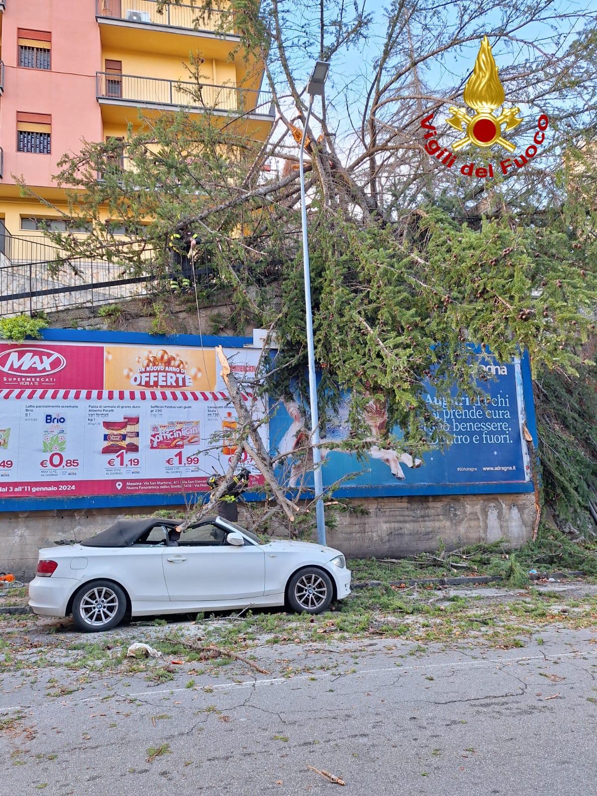 Maltempo, auto danneggiate da caduta alberi