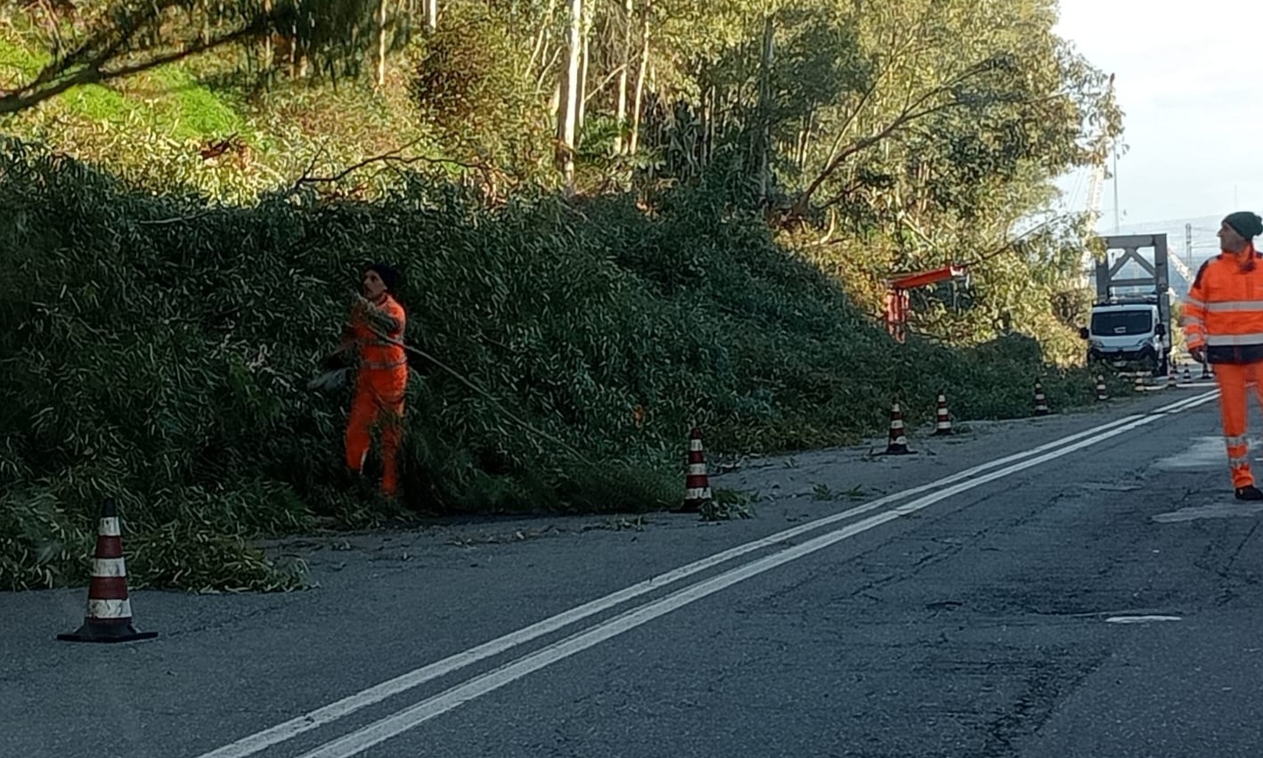 Svincolo chiuso e scerbatura sulla Ss 114, il caos è servito