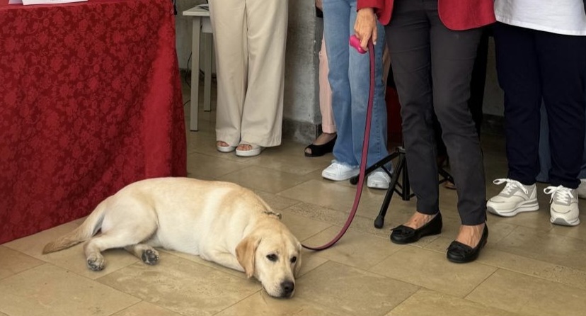 Il cuore degli alunni dell’Ic “Manzoni – Dina e Clarenza”: acquistato un cane guida