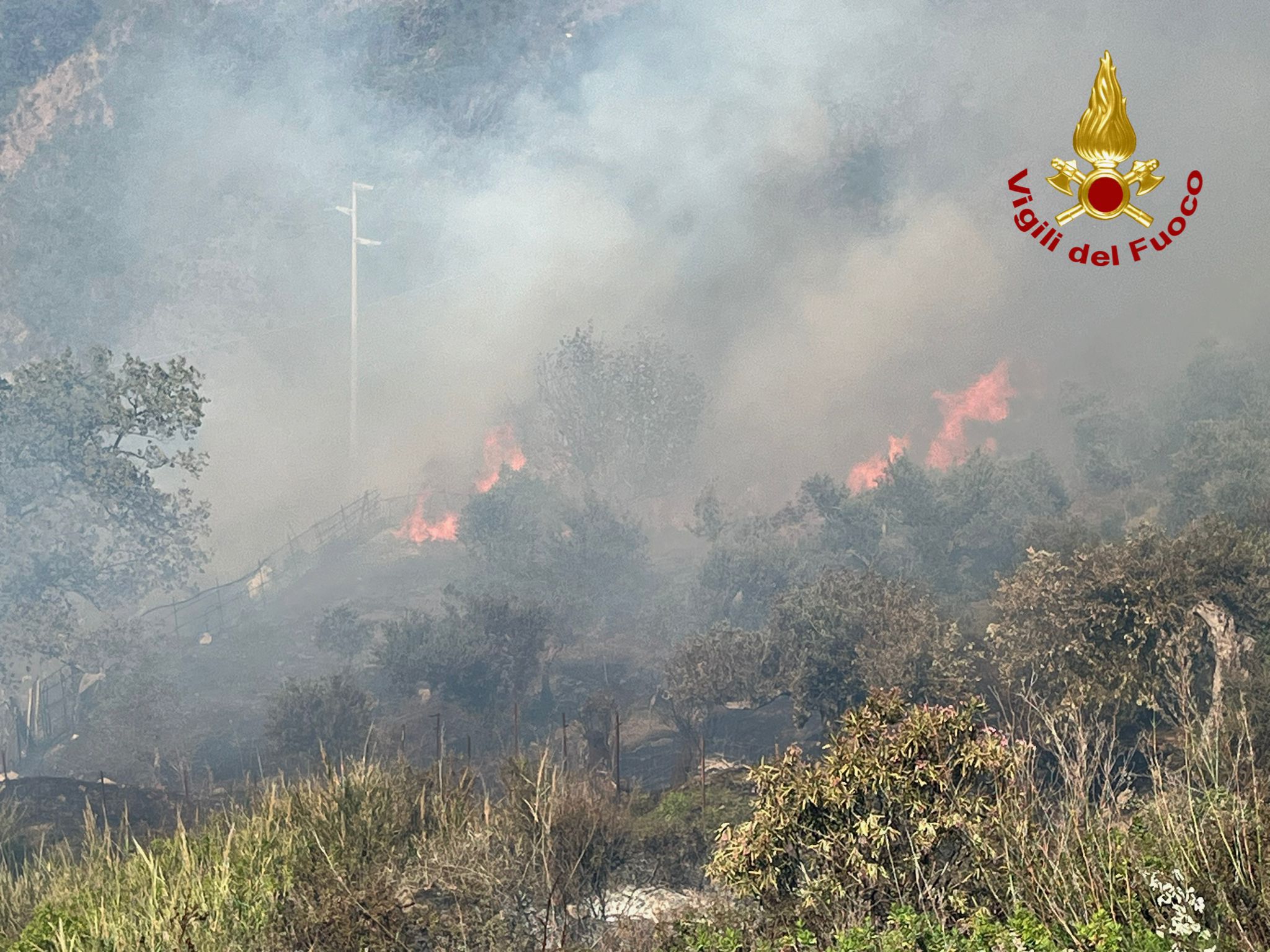 Pezzolo, macchia mediterranea in fiamme