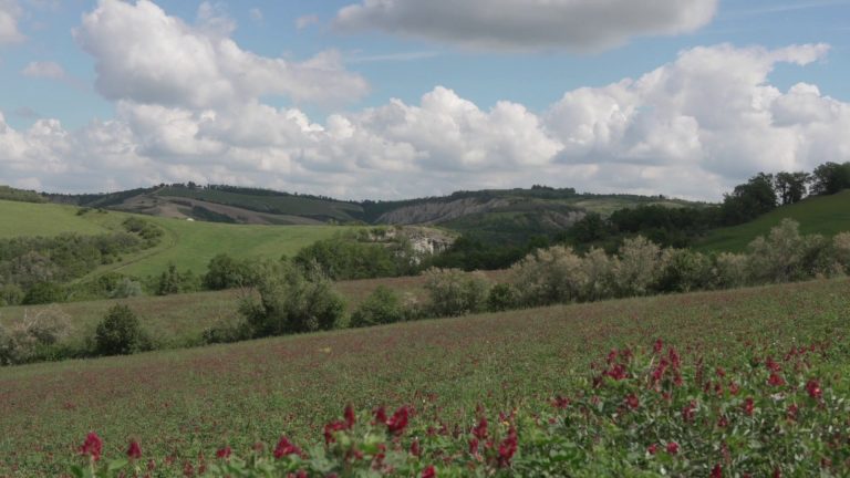 Generali e Gruppo Leone Alato inaugurano l’Oasi Gregorina