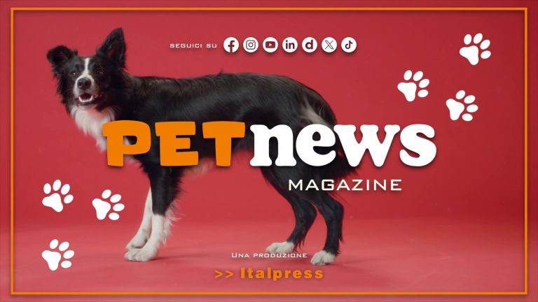 PetNews Magazine – 25/6/2024