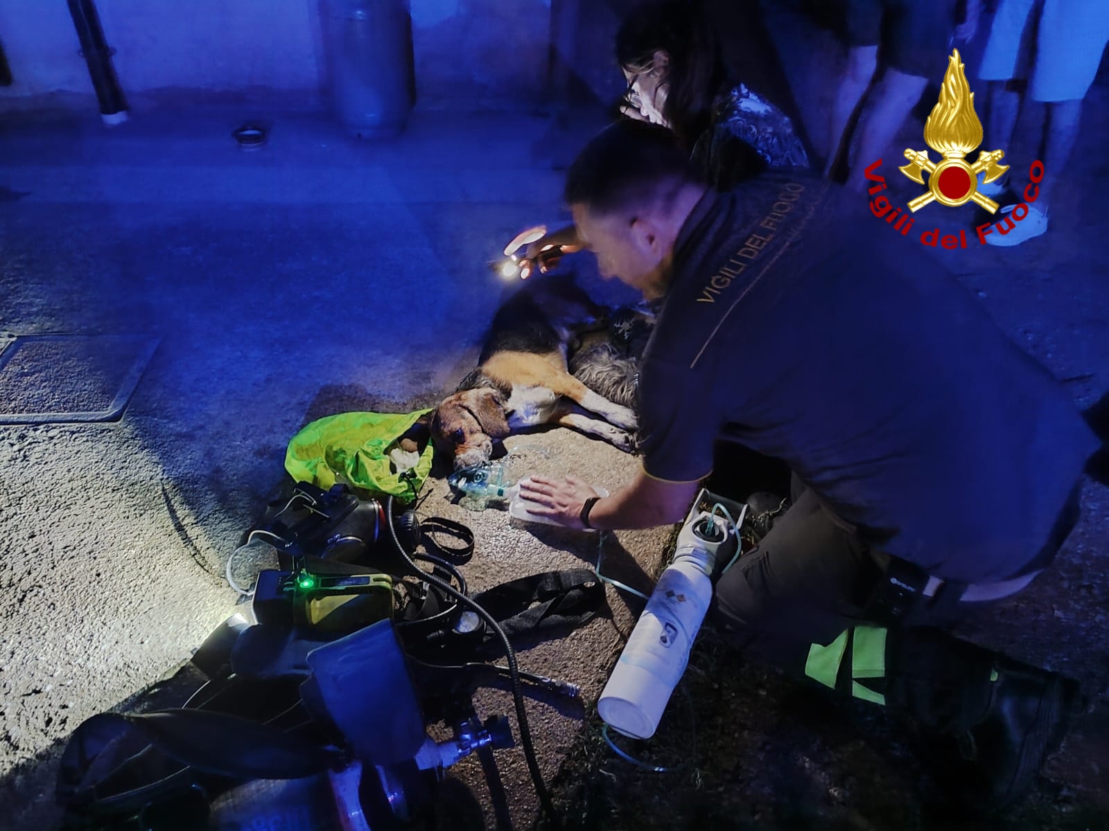 Incendio, salvati due cani dai vigili del fuoco