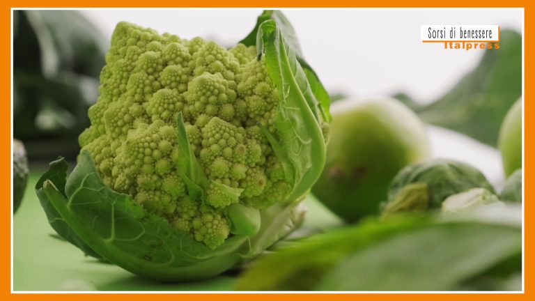 Sorsi di benessere – Crema di broccolo romanesco? Ecco come prepararla