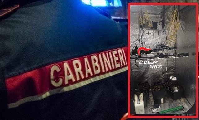 Aveva in casa una serra artigianale per coltivare stupefacenti, arrestato
